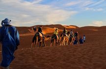 Desert Safari in Doha: Dune Bashing Camel Ride & Sandboarding
