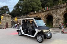 Florence Private Electric Car Tour with Guide