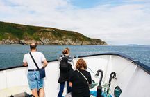 Howth Cliffs and Ireland's Eye Ferry Boat Tour
