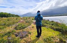 Route of the Centolla and Sabores del Mar – Tour to Puerto Almanza