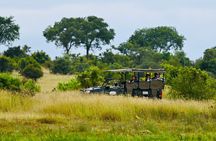From Jaipur Ranthambore National Park Day Trip with Safari
