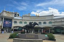 B&C horseback riding, Keeneland or Churchill Down Racetrack.