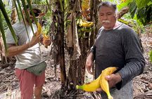 Bacalar Mayan Experience : Ichkabal Ruins & Cenote Azul & Farm