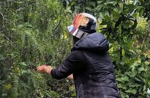 Andean Fabric Create your own masterpiece