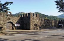 Full Day Virtual Sightseeing Tour in Batumi