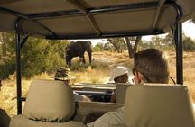 Moremi Full day Game Drive from Maun