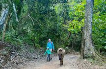 Biologist led Jungle Hike in Sayulita: Explore Natikari Reserve