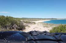 Extreme Baja Off-Road to Cabo Pulmo Diving — Pickup Anywhere