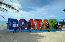 Monkeys, Sloths, Rum Factory & West Bay Beach Experience