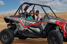 Dubai Red Dunes ATV Quad Bike Camel Ride and BBQ Dinner