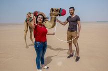 Dubai Red Dunes ATV Quad Bike Camel Ride and BBQ Dinner