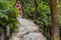 Original Sticky Waterfalls and Thai Cooking Course Premium