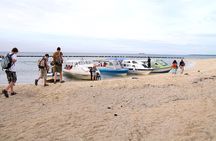 Sandakan: 2D1N Turtle Island Sanctuary with Transfer & Meals