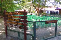 Sandakan: 2D1N Turtle Island Sanctuary with Transfer & Meals