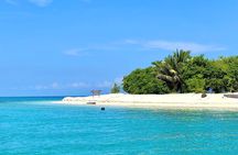 Sandakan: 2D1N Turtle Island Sanctuary with Transfer & Meals