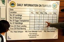 Sandakan: 2D1N Turtle Island Tour