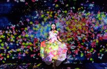 Tokyo: teamLab Planets & Toyosu Fish Market Guided Tour