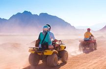 Dubai: Morning Tour with 4x4 Pick/Drop Red Dunes Camel Sandboard