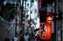 Kyoto Sunset Private Tour from Kiyomizudera to Gion