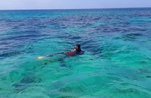 Snorkel and Cruise Glass Bottom Boat