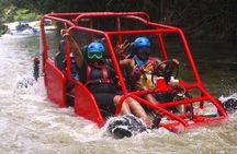 Shore Excursion: Buggy Adventure — Countryside & Local Tasting