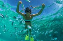 4 Hour Snorkel Anse Cochon and Anse Mamin as well as Sugar Beach