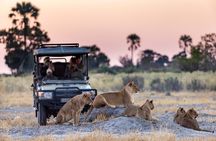 Chobe Day Trip with Lunch from Victoria Falls
