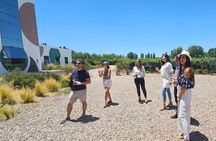 Tour wineries Lujan de Cuyo