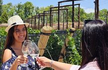 Tour wineries Lujan de Cuyo