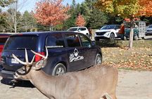 Montreal: Omega Park Canadian Wildlife Safari Adventure