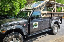 Asheville Sightseeing and Party Tour