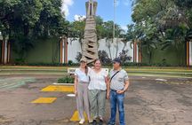 Explore Kampala by Car