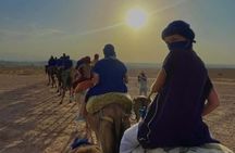 Marrakech Agafay Desert Sunset Camel Ride and Dinner Show
