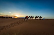 2 Days one night in merzouga from fes 