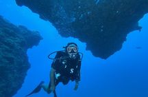 Certified Diver 2 Tank Shallow Reef Dives Off Wai'anae