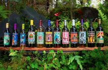 Kvasirs Meadery Experience on the Big Island