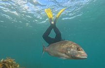 Goat Island Experience Advanced Snorkel Tour