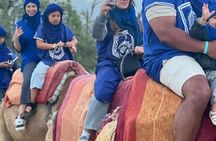 EBike Adventure and Sunset in Marrakech Palmeraie