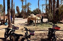 EBike Adventure and Sunset in Marrakech Palmeraie