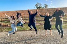 McLaren Vale Private Tour inc Premium Lunch & d'Arenberg Cube