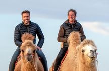 Elsen Tasarkhai Sand Dunes 2 days tour