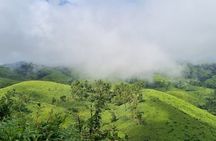 Kochi to Munnar Private Full Day Guided Tour With Hotel Pickup