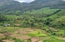 Kochi to Munnar Private Full Day Guided Tour With Hotel Pickup