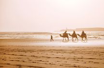 Private Full Day Trip to Essaouira from Marrakech