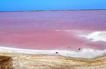 Sandwich Harbour 6 hour Adventure