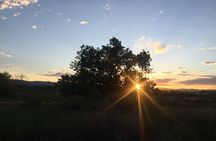 In the Footsteps of the Explorers, Fort Collins Walking Tour