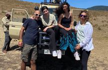 3 Days Safari to Mikumi National Park from Zanzibar by Ferry. 