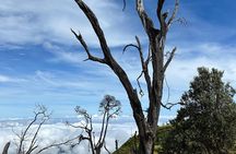Unique Hiking around an active Turrialba Volcano /Selfdrive tour