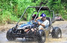 Roatan Dune Buggy Tour with Chocolate Rum Tasting & Animal Park 