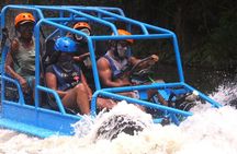 Shore Excursion: Buggy Adventure — Countryside & Local Tasting